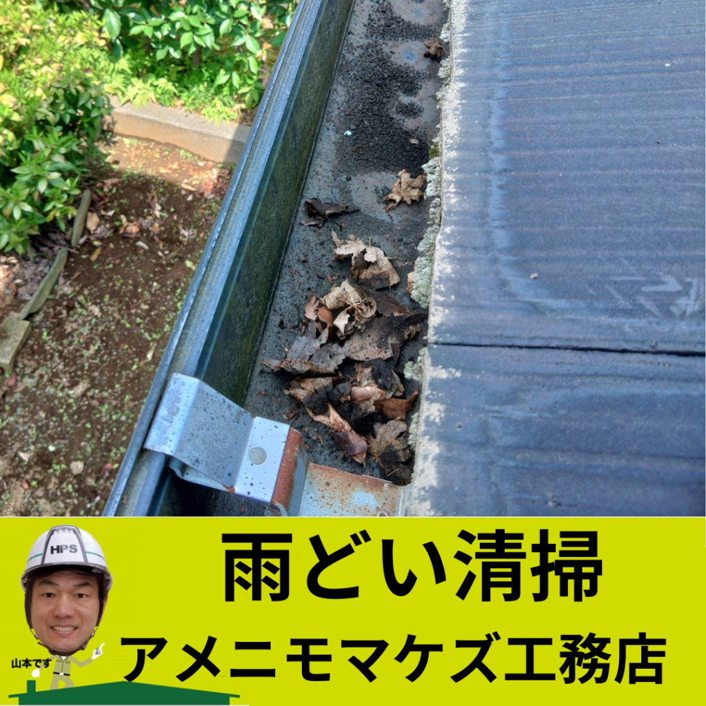 雨どい清掃前