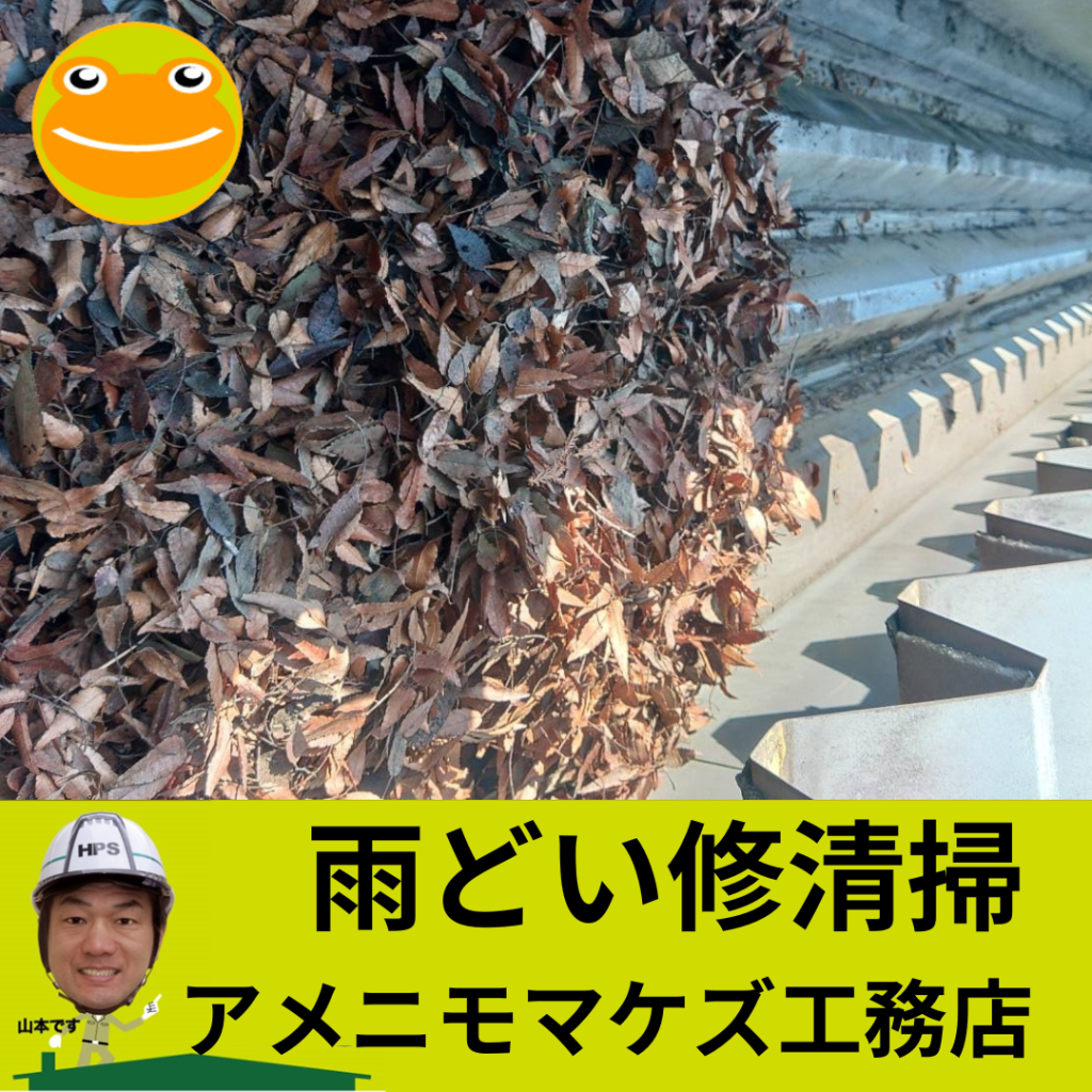 八王子市の雨どい清掃