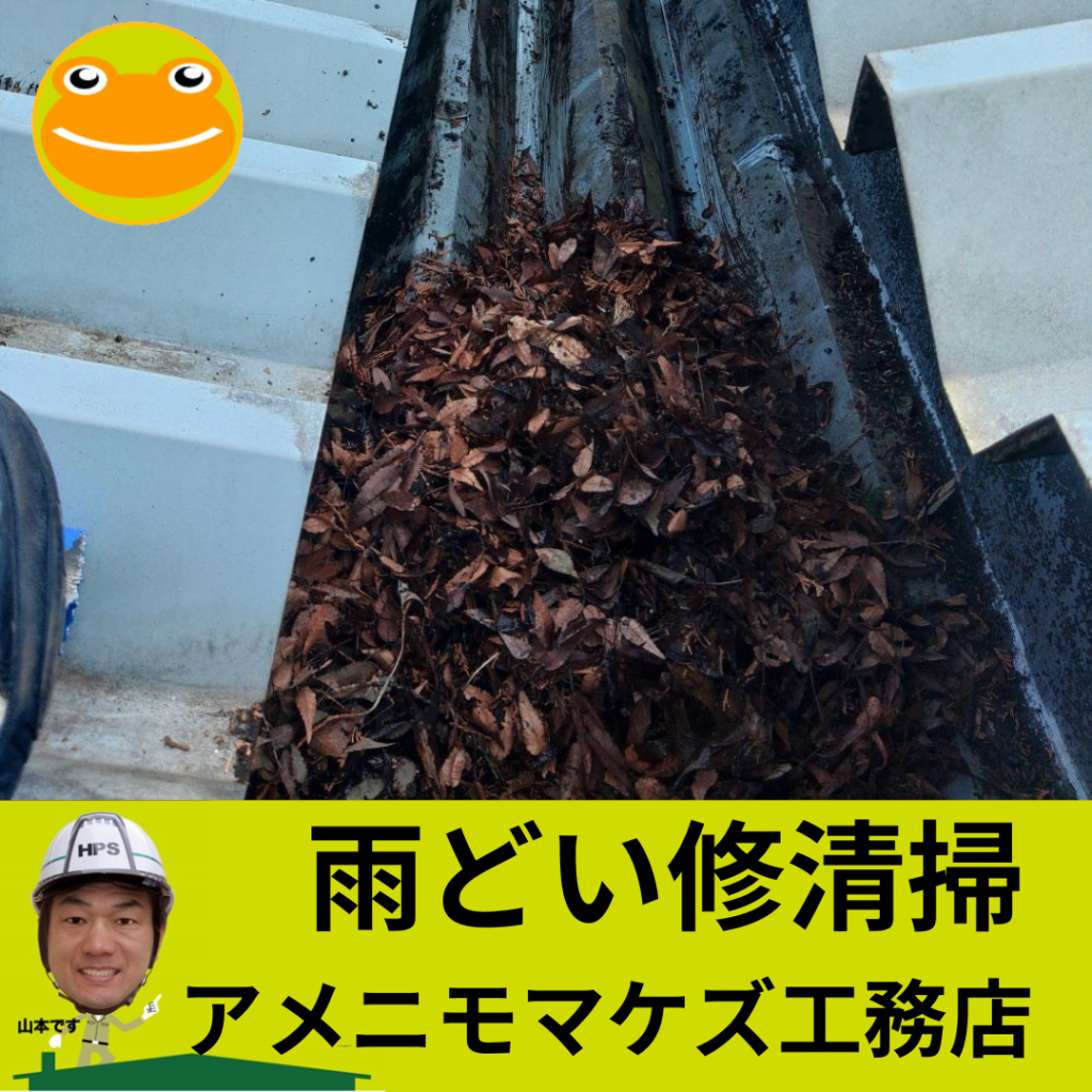 八王子市の雨どい清掃