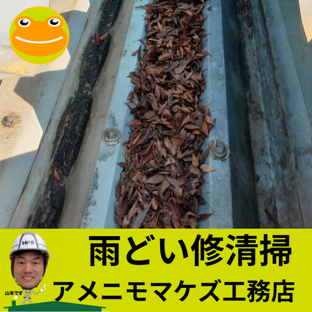 八王子市の雨どい清掃