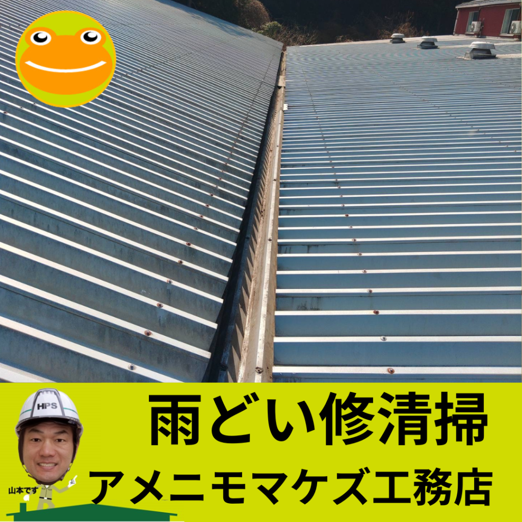 八王子市の雨どい清掃