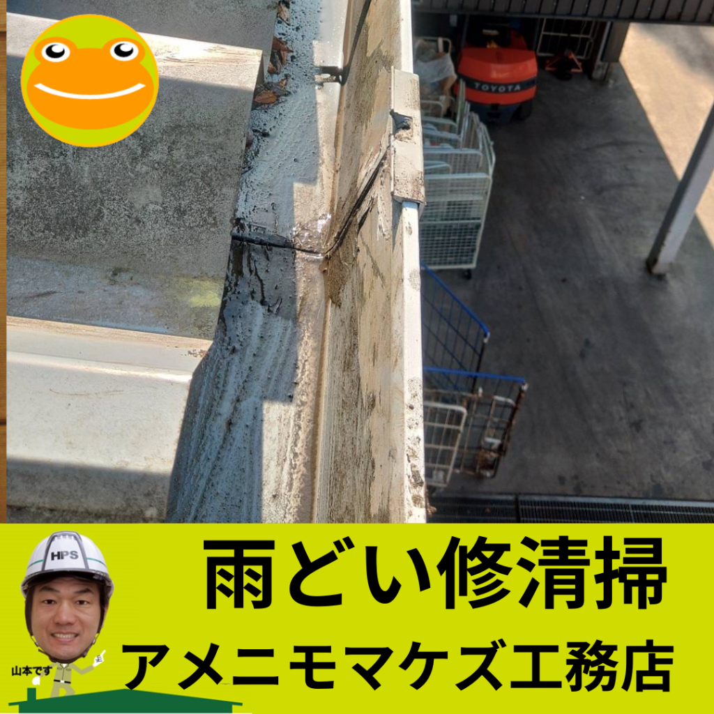 八王子市の雨どい清掃