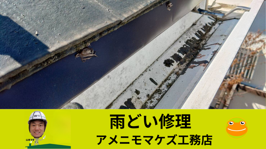 雨樋外れ修理後