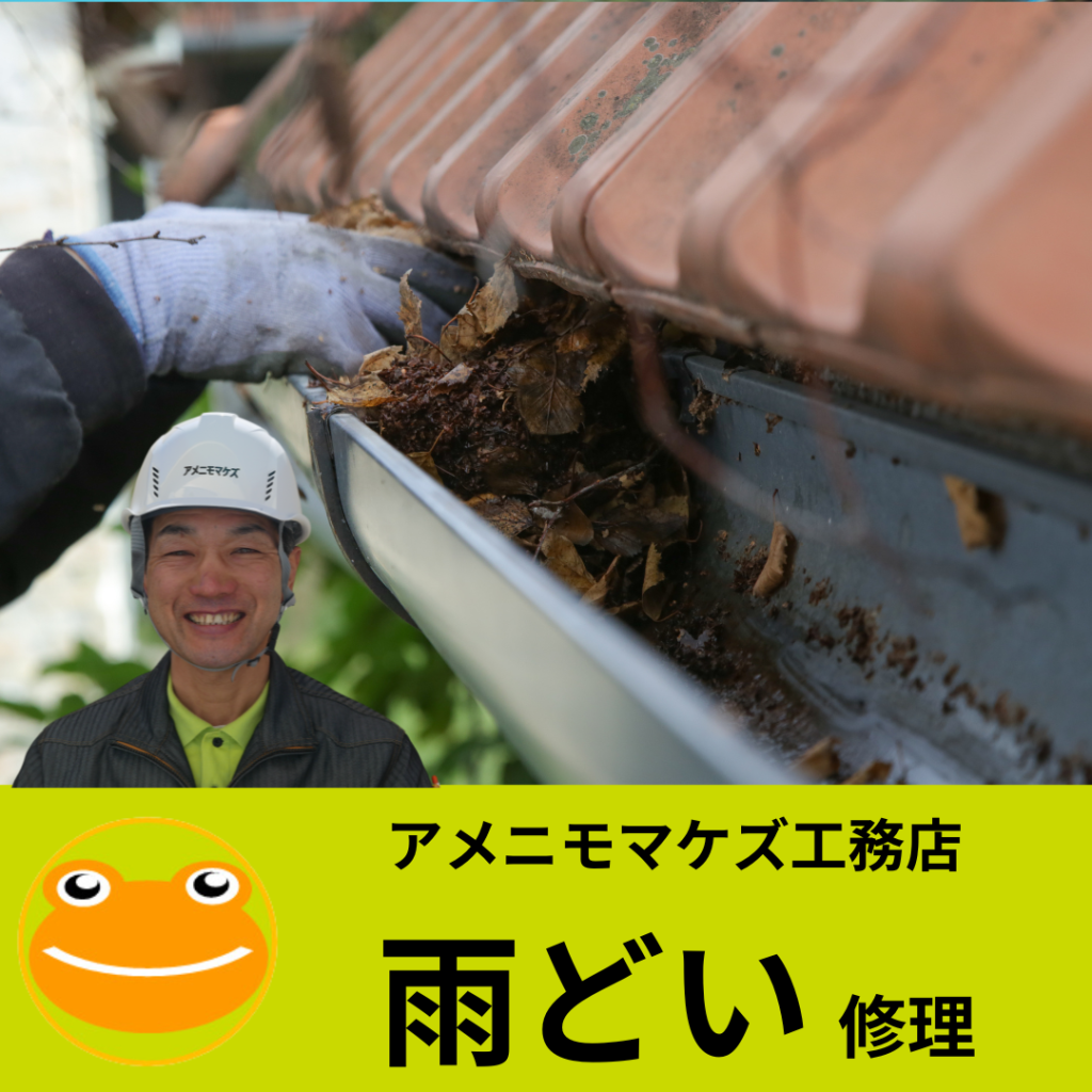 雨樋清掃