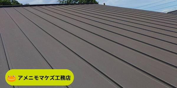 点検後のガルバリウム鋼板屋根の全景