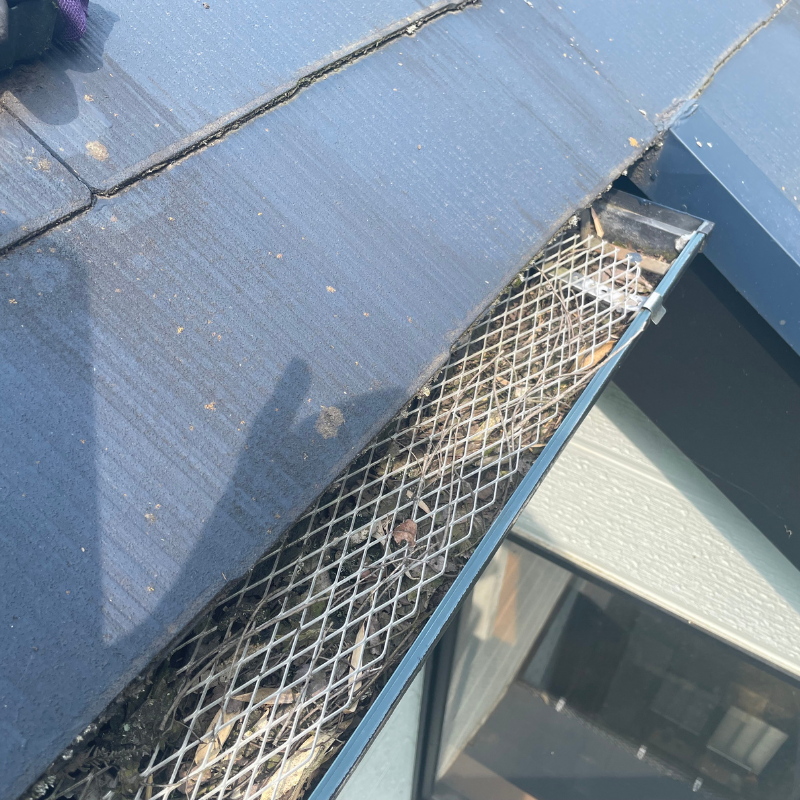 八王子の雨どい集水桝に落ち葉がたまった状態｜排水不良の原因