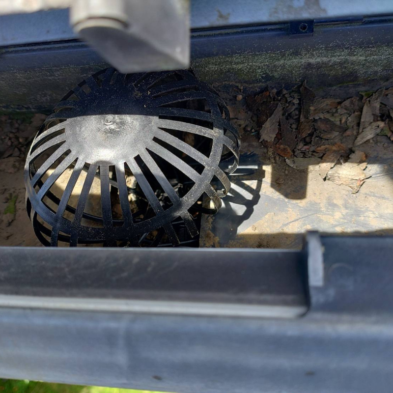 八王子の雨どいで落ち葉ネットが詰まり始めている様子｜雨どい清掃の必要性