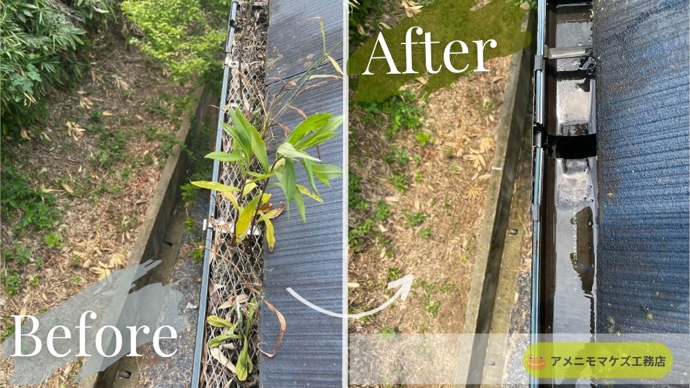 雨どいの落ち葉ネットに雑草が生えたBeforeAfter|八王子の雨どい清掃事例