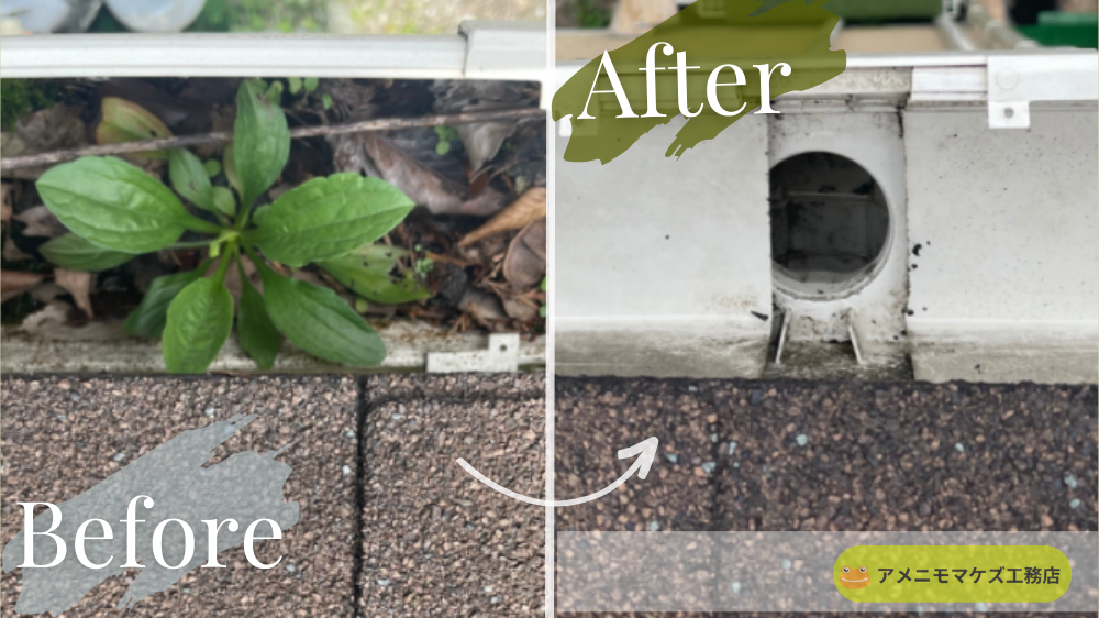 竪樋の入り口に雑草が生えるほど詰まっていた雨どいを清掃し、正常に流れる状態へ改善したビフォーアフター写真｜八王子の雨どい清掃・詰まり解消はアメニモマケズ工務店