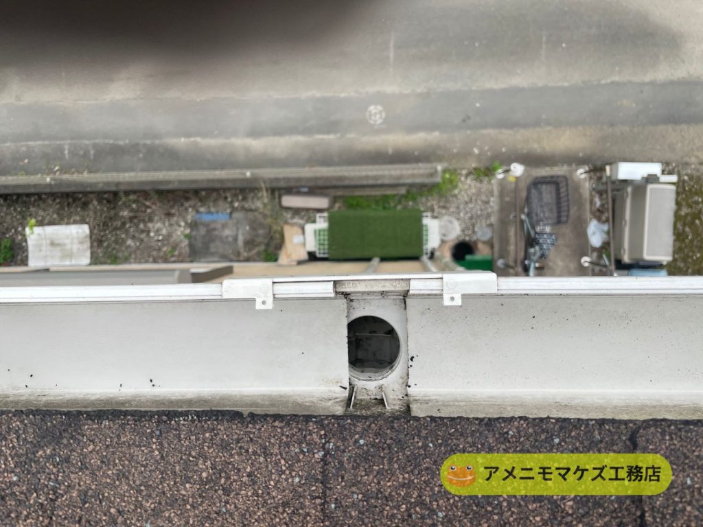 清掃後の集水器まわりの状態。排水口に詰まりがなく雨水がスムーズに流れる状態