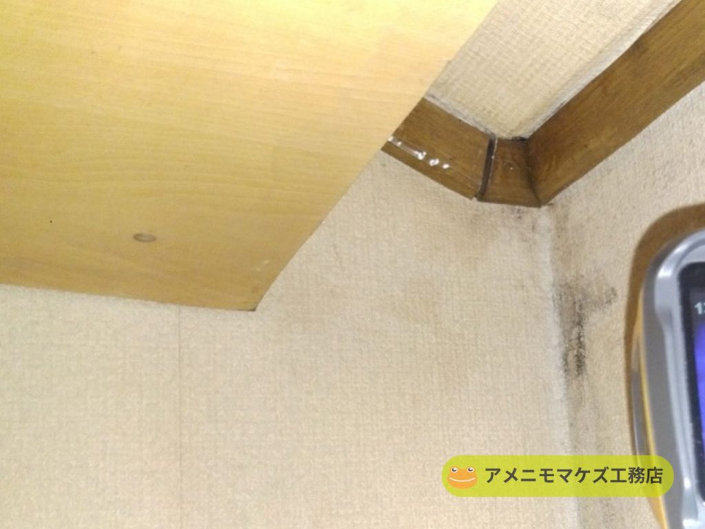 雨漏りによって壁紙の角にカビが発生している室内の様子
